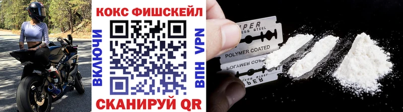 Cocaine FishScale  Купить где  Мирный 